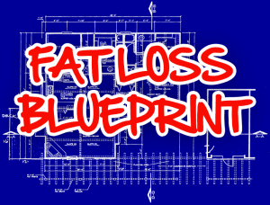 fat loss blueprint1 300x228 FREE REPORT   The Fat Loss Blueprint