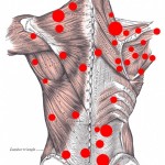 Desk Exercise | Exercises To Do At Work back trigger points1 150x150 Desk Exercise | Exercises To Do At Work
