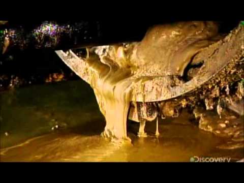 How It's Made - Canola Oil