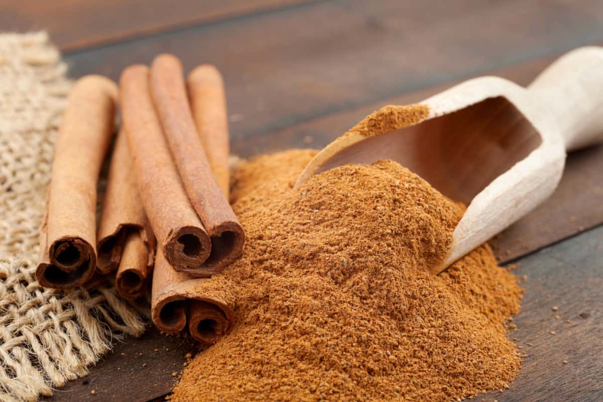 cinnamon medicinal properties