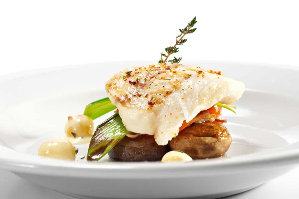 halibut lean protein