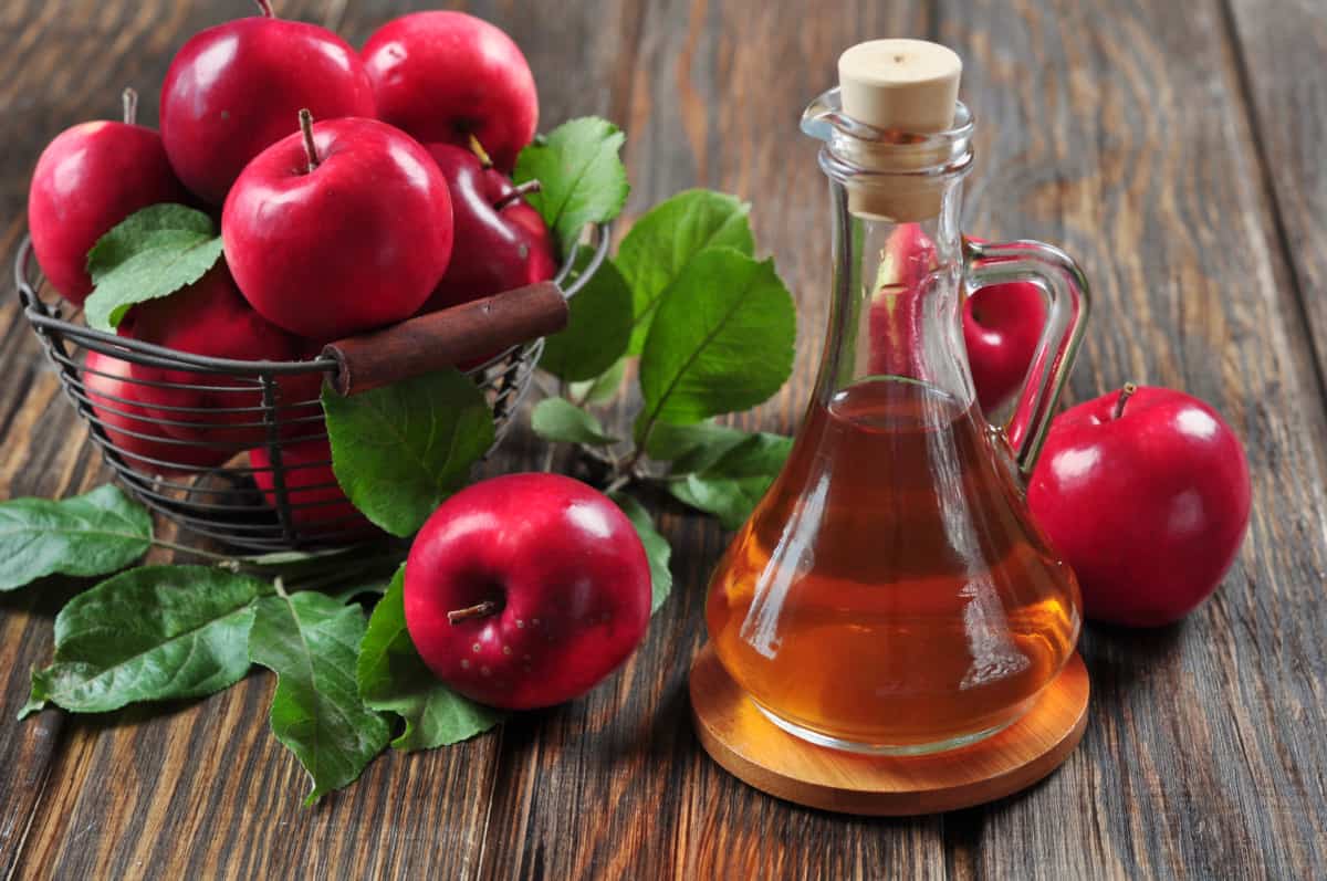 apple cider vinegar gut health