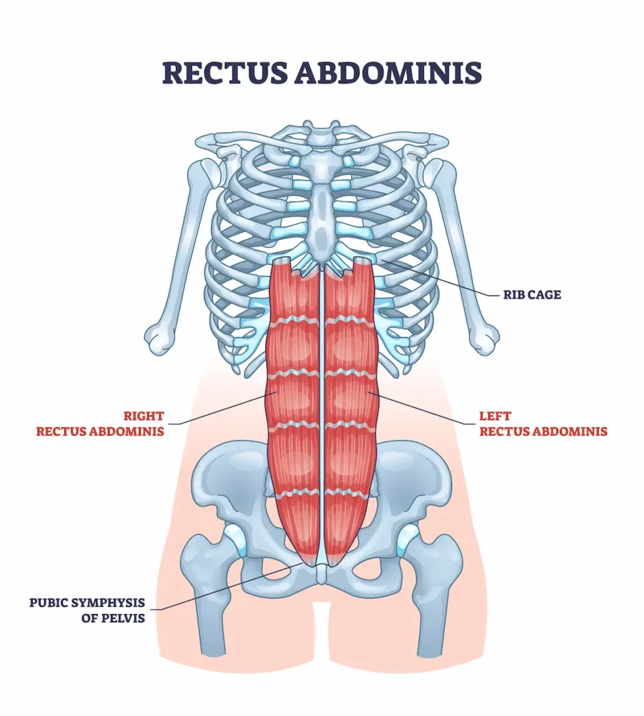10 Best Lower Ab Exercises Killer Workouts At Home 10 Best Lower Ab Exercises Killer Workouts At Home