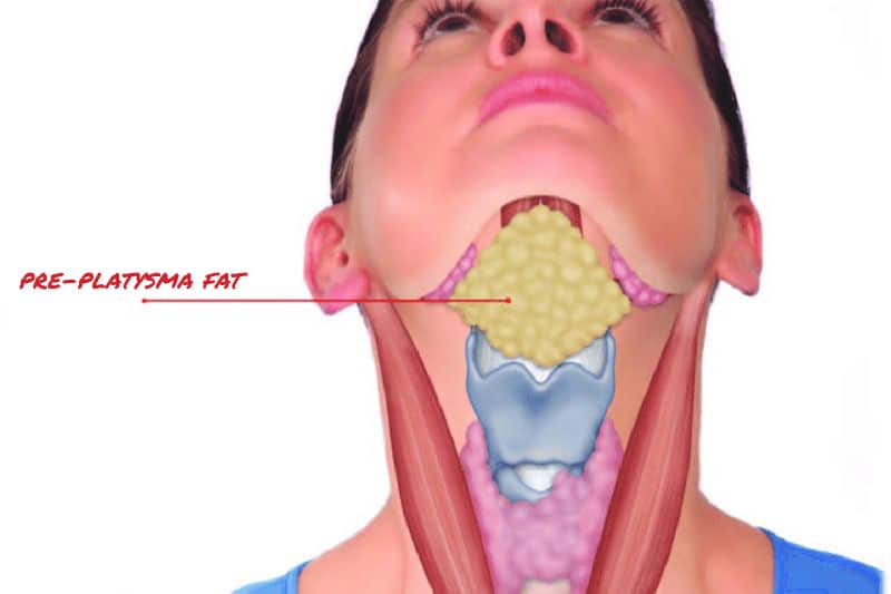 double neck fat anatomy