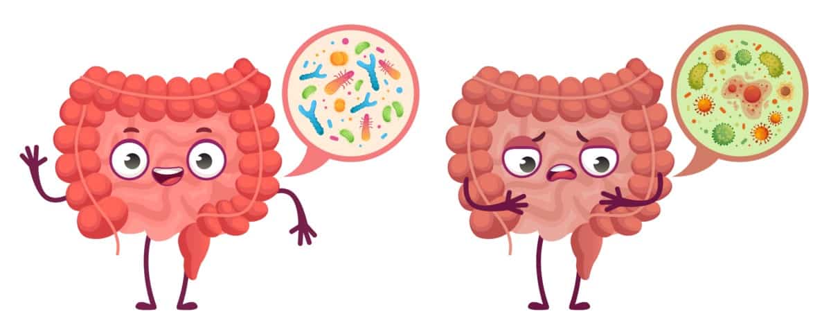 good vs bad gut bacteria