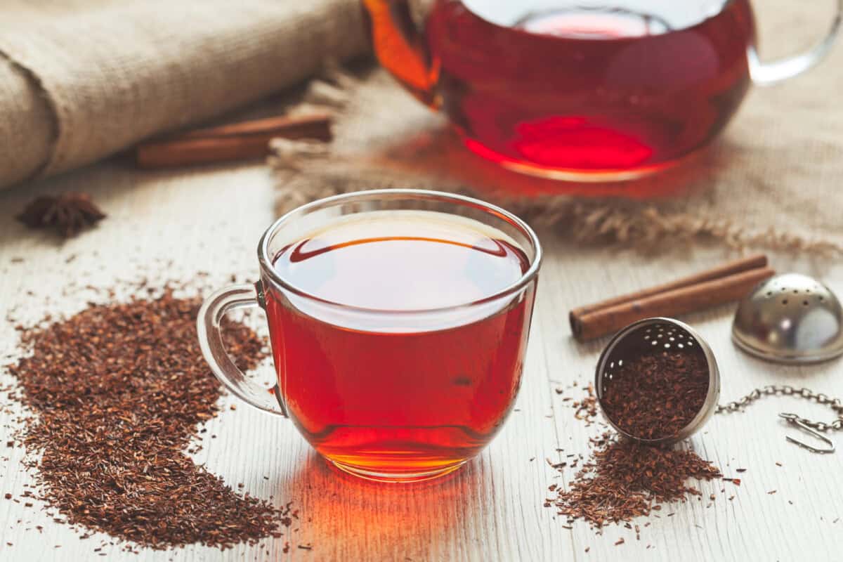rooibos tea