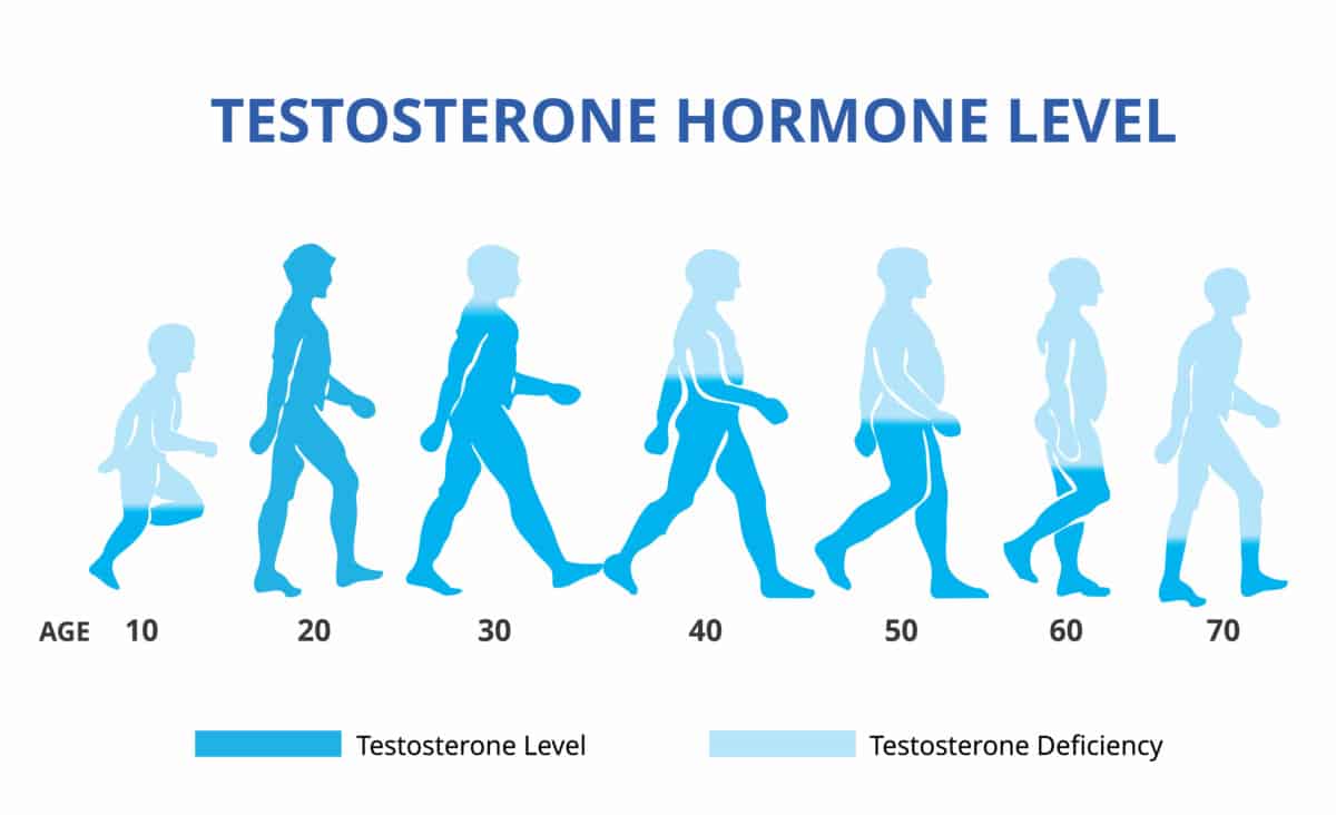 testosterone hormone levels