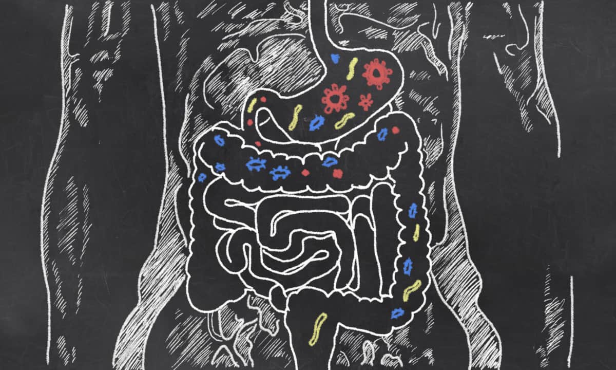 sucralose bad gut health