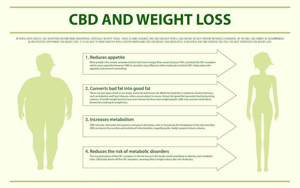 cbd and weight loss