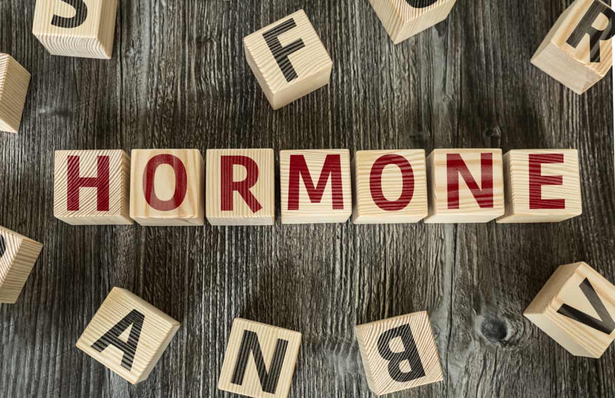 hormones stubborn fat