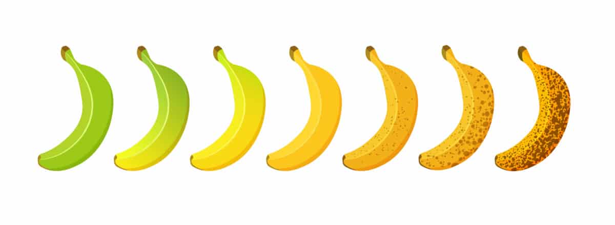 healthiest kind of banana for weight loss