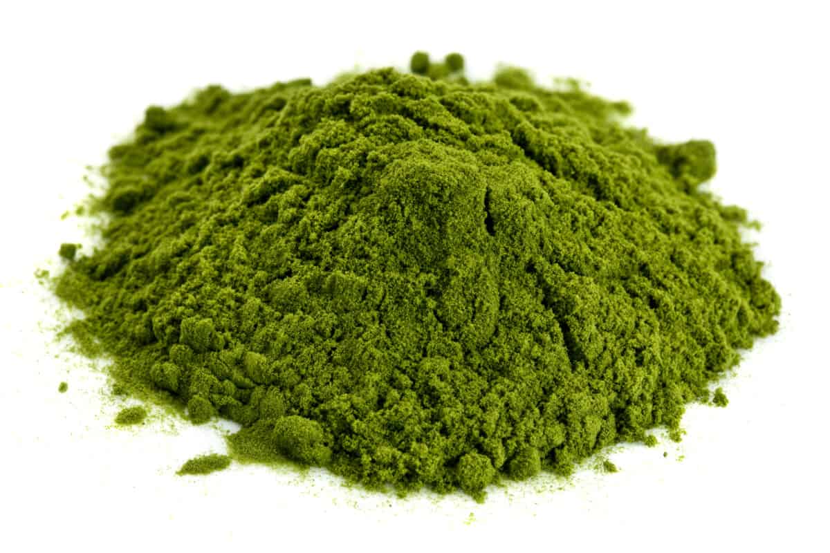 green powder plant protein