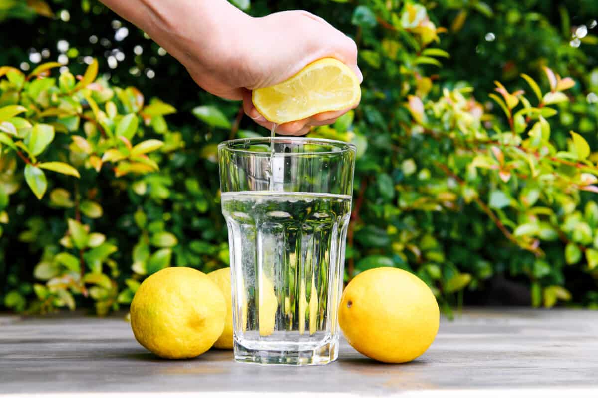 how to prepare lemon water for weight loss