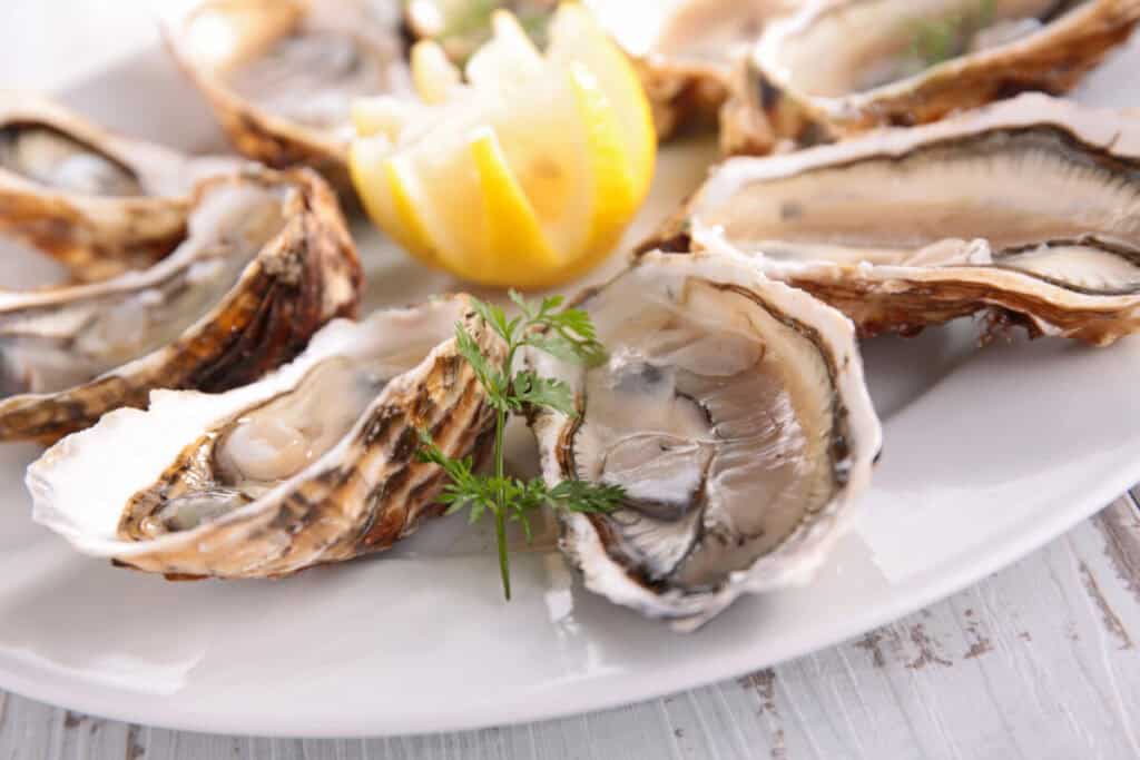 fresh oysters with lemon fresh oysters with lemon