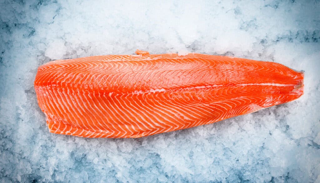 wild alaskan salmon fillet on ice wild alaskan salmon fillet on ice