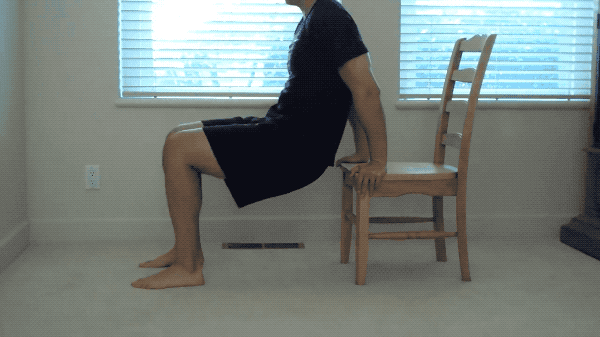 Chair Bench Dips