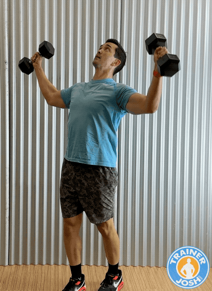 Dumbbell Standing Overhead Flyes Dumbbell Standing Overhead Flyes