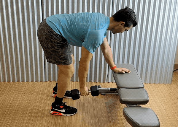 dumbbell bilateral row dumbbell one-arm bilateral row