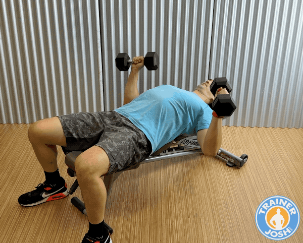 dumbbell chest press dumbbell chest press