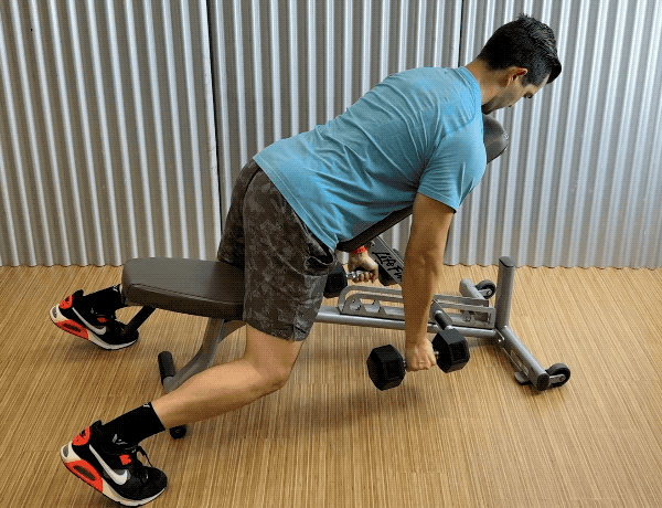 dumbbell chest supported rows dumbbell chest supported rows exercises
