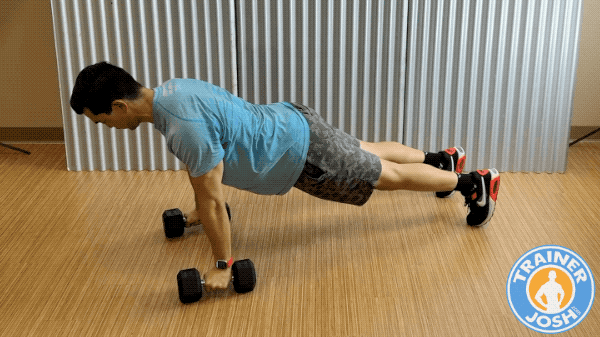 dumbbell deficit pushups dumbbell deficit pushups