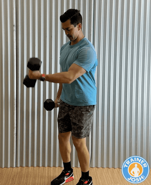 dumbbell front raise palms up for chest dumbbell front raise palms up for chest
