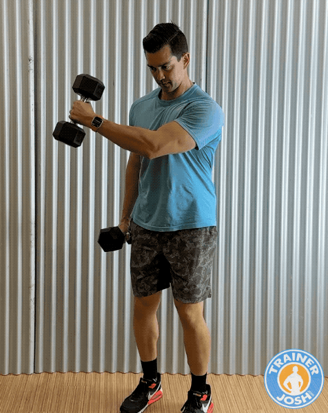 dumbbell hammer fly for chest dumbbell hammer fly for chest