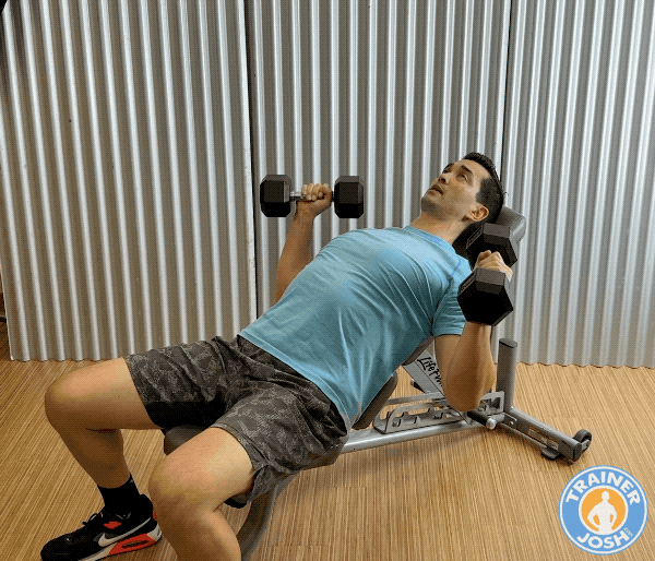 dumbbell incline chest press dumbbell incline chest press