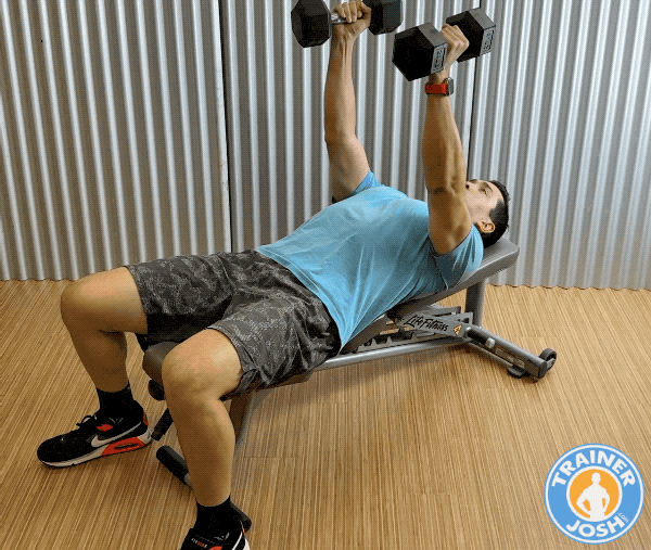 dumbbell nuetral grip press dumbbell neutral grip press