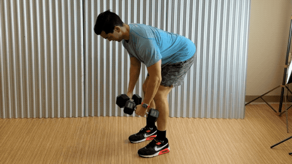 dumbbell reverse flyes dumbbell reverse flyes exercise