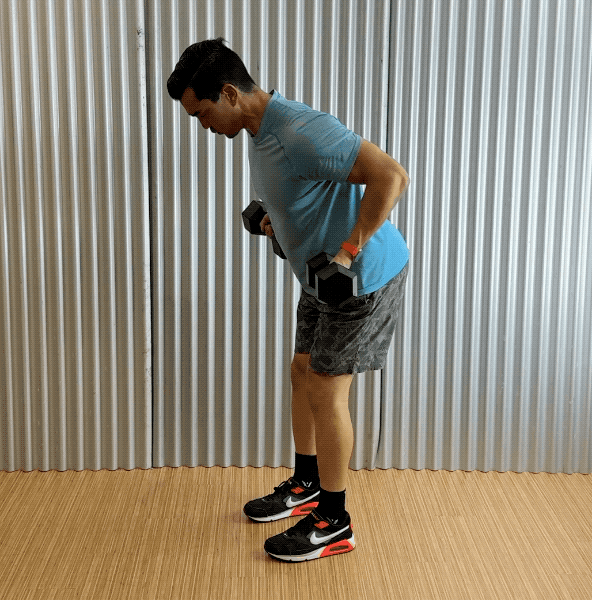 dumbbell romanian deadlift to row dumbbell romanian deadlift to row exercise