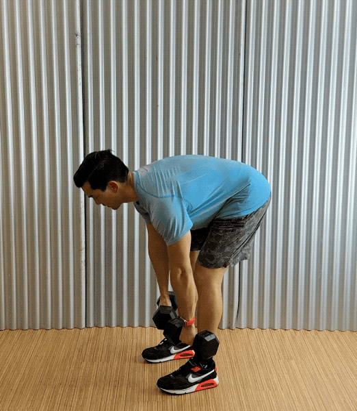 dumbbell romanian deadlifts dumbbell romanian deadlifts exercise