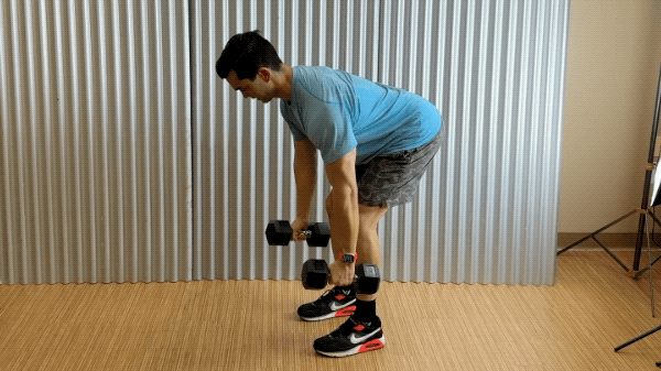 dumbbell rows dumbbell bent over rows exercise