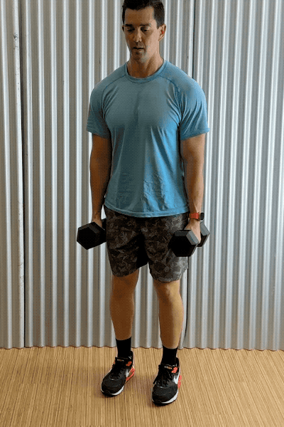 dumbbell shrugs dumbbell shrugs exercise