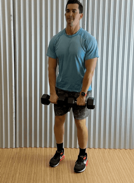 dumbbell upright rows dumbbell upright rows exercise