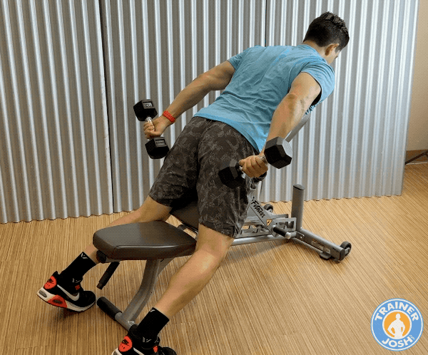 Incline Dumbbell Kickbacks Incline Dumbbell Kickbacks exercise demonstration