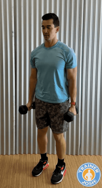 dumbbell bicep curls dumbbell bicep curls exercise