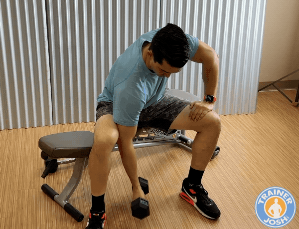 dumbbell concentration curls dumbbell concentration curl exercise