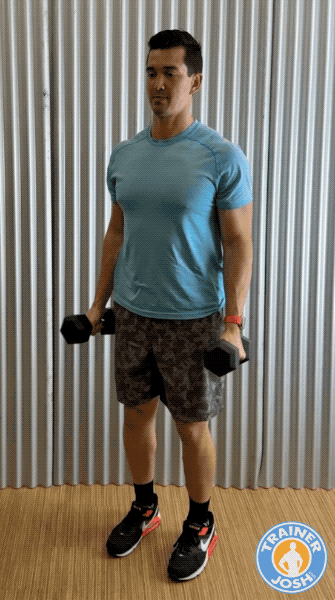 dumbbell hammer curls dumbbell hammer curls exercise