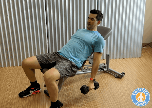 dumbbell incline bicep curls dumbbell incline bicep curls exercise