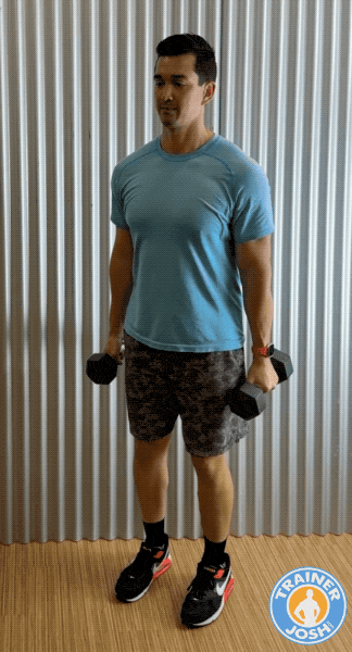 dumbbell rotation and stop curls dumbbell rotation and stop curls exercise