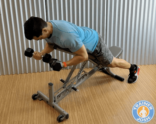 dumbbell spider curls dumbbell spider curls exercise