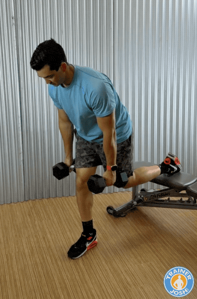dumbbell bulgarian split squats glutes dumbbell bulgarian split squats with glute emphasis exercise demonstration
