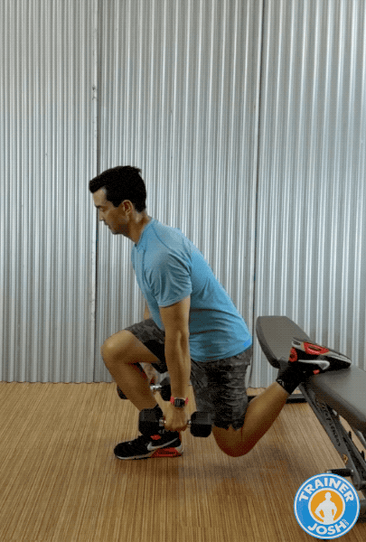 dumbbell bulgarian split squats dumbbell bulgarian split squats exercise demonstration