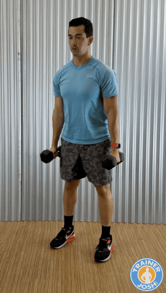 dumbbell deadlifts dumbbell deadlift exercise demonstration