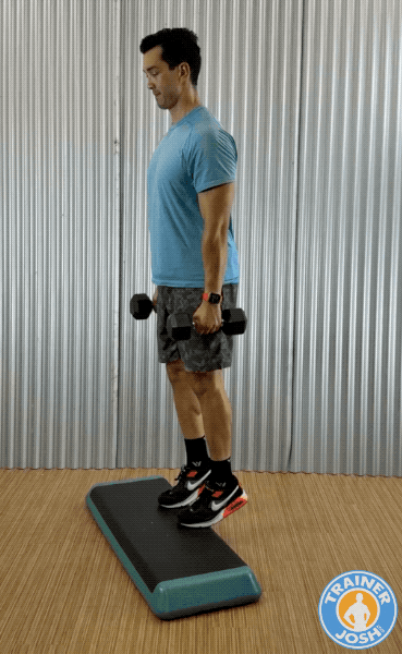 dumbbell elevated calf raises dumbbell calf raises exercise demonstration