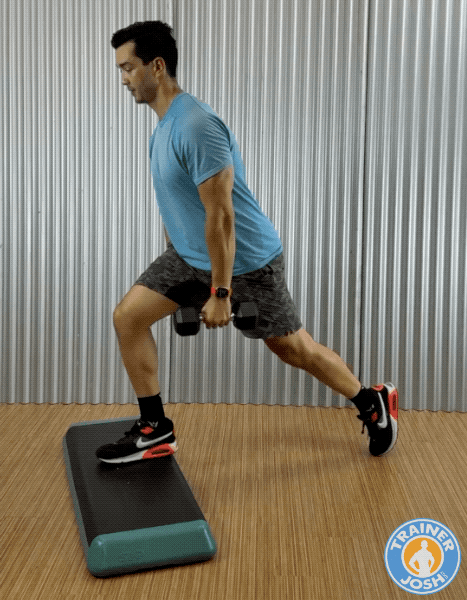 dumbbell front foot elevated split squat dumbbell front foot elevated split squat exercise demonstration