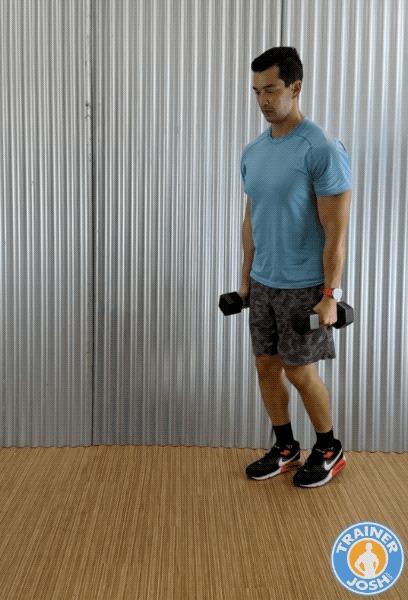 dumbbell front lunges dumbbell front lunge exercise demonstration