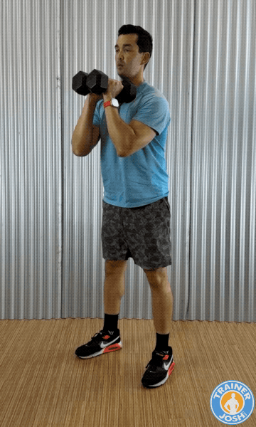 dumbbell front squats dumbbell front squat exercise demonstration