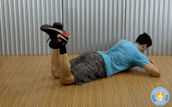 dumbbell hamstring curls 1 dumbbell hamstring curl exercise demonstration